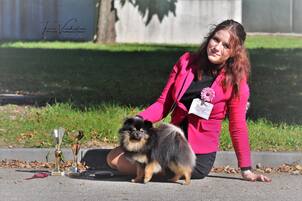 Pomeranian